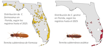 La colaboración con empresas de