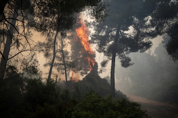 REUTERS/Stelios Misinas