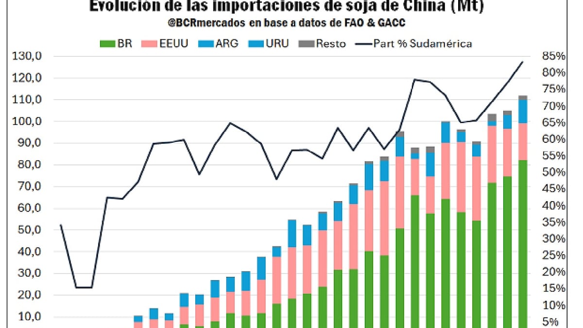 Intensidad de importaciones de soja desde China