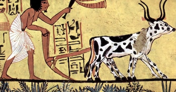 Animales prehistóricos