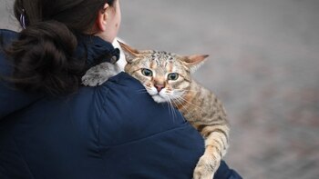 A woman carries her cat
