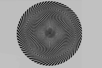 Acertijo visual: ¿puedes ver cuál