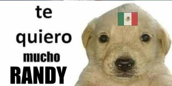 Los mejores memes de la