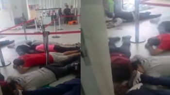 Nuevas imágenes revelan pánico y