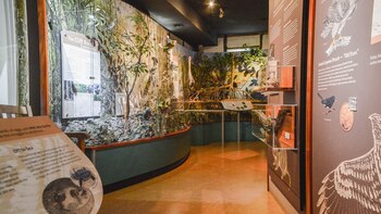 Museo Nacional (Secretaria de turismo