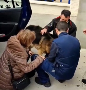 El video del reencuentro de