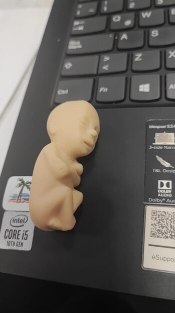 @causajustaco/Twitter.