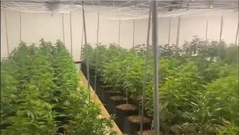 Las instalaciones de este invernadero