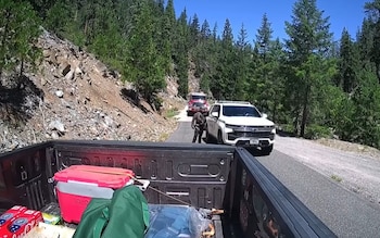 Caja de camioneta con neveras, dos vehículos de emergencia, persona uniformada, carretera forestal, árboles coníferos y ladera rocosa bajo cielo azul