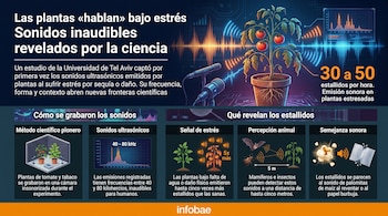 Infografía que muestra plantas, micrófonos, una tomatera, gráficos de frecuencia de sonido, una cámara insonorizada, un murciélago y un insecto.