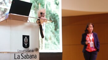 El muñequito del mono tití