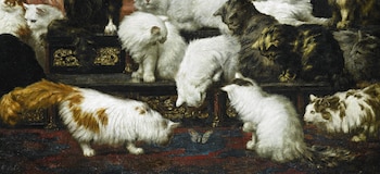 El artista animó la escena