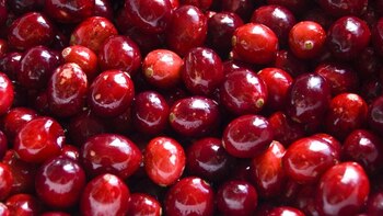 Descubre cómo iniciar tu día