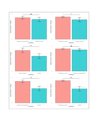 Encuentran 38 especies en la selva de Misiones y alertan por el impacto de los pastizales exóticos