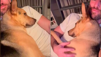 El tierno gesto fue captado