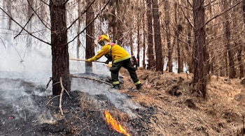 Un bombero con uniforme amarillo y casco remueve la tierra quemada con una herramienta en un bosque con fuego y humo.