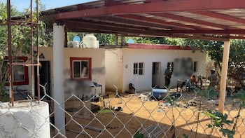 Localizan 10 narcocampamentos, municiones y