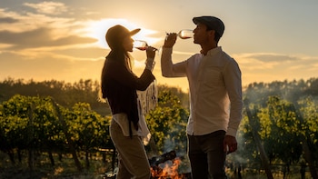 La selección de vinos de