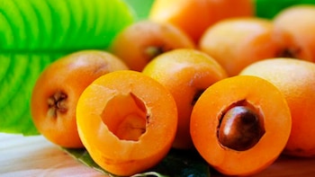 El agua de níspero, la opción ideal para regular los niveles de azúcar en la sangre: estos son los beneficios comprobados