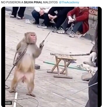 Fans se quejan que no