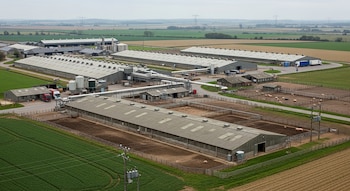 Vista aérea de granja industrial con múltiples edificios largos, silos, camiones y corrales con cerdos. Rodeada de campos agrícolas, líneas eléctricas.