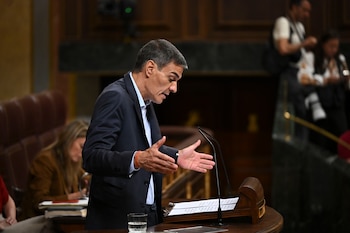 Pedro Sánchez, presidente del Gobierno, este miércoles en el Congreso de los Diputados. (EFE/Fernando Villar)