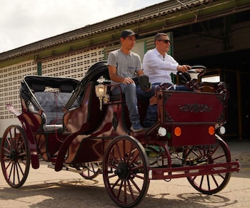 Los caballos retirados del servicio
