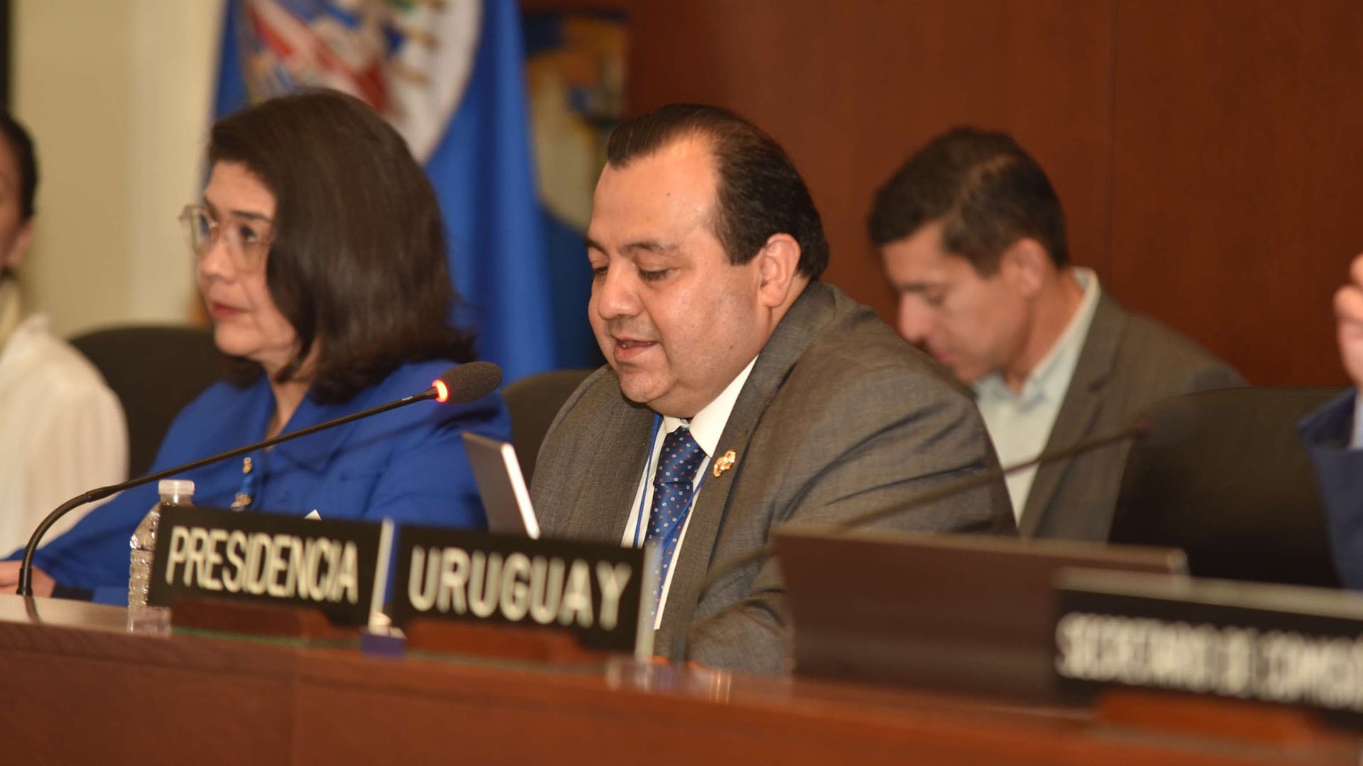 El Presidente de la CIDH, Stuardo Ralón, presenta el Informe Anual 2025 ante la Comisión de Asuntos Jurídicos y Políticos (CAJP) de la OEA en una reunión formal. (Comisión Interamericana de Derechos Humanos)