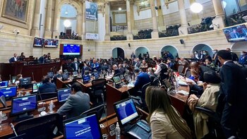 El proyecto que permite el