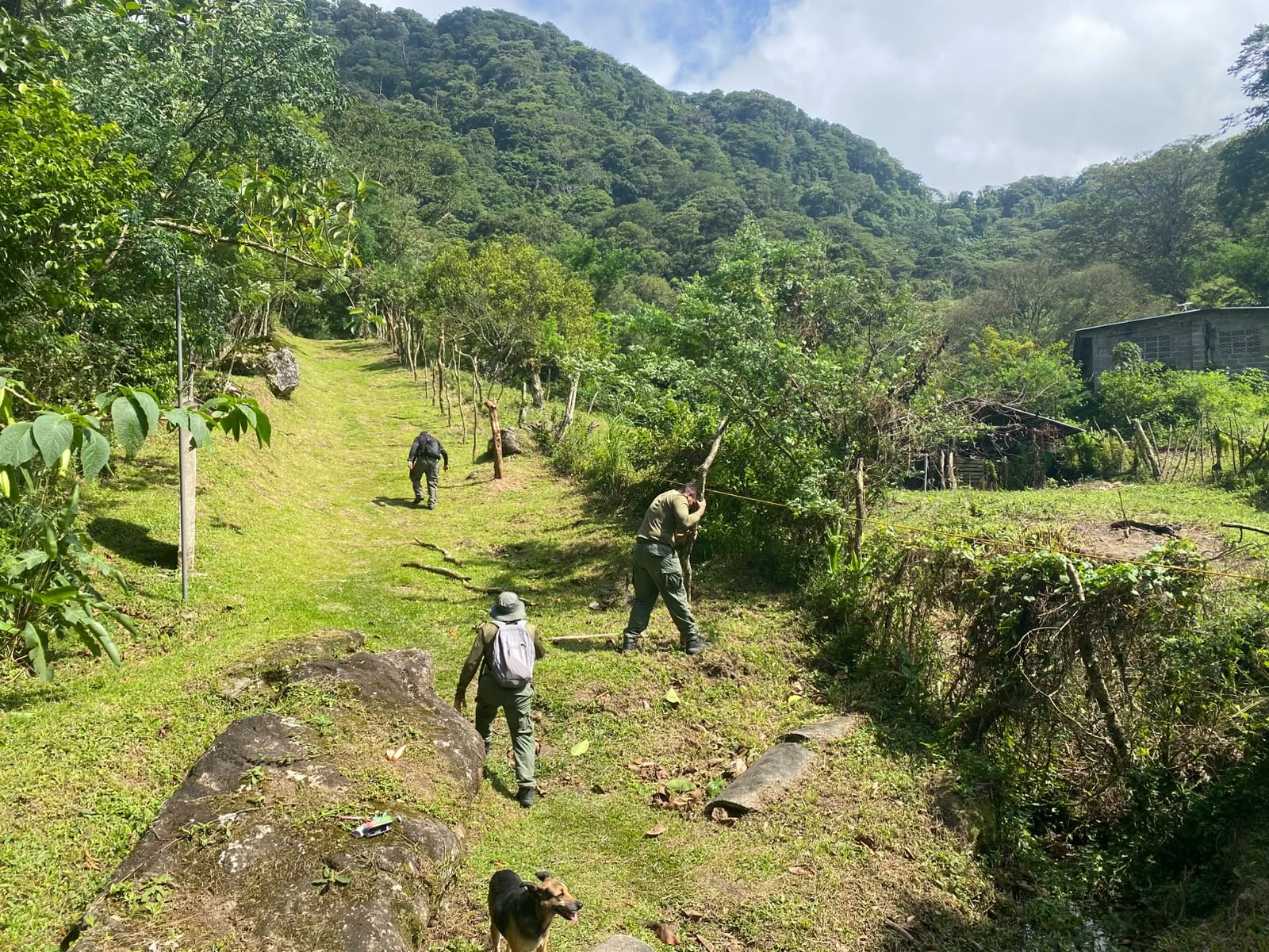 El Monumento Natural Cerro Gaital, uno de los principales atractivos naturales de El Valle de Antón, permanece bajo vigilancia para prevenir ocupaciones y otras actividades no autorizadas. Tomada de MiAmbiente