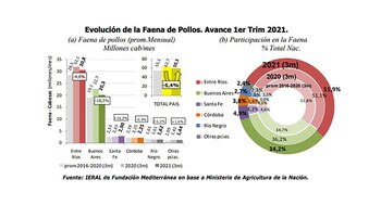 Ieral Torre Pollo Produccion Consumo Exportaciones