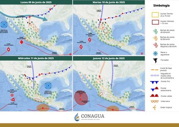 Las trayectorías de estos dos