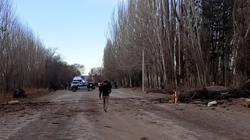 Dos personas murieron en Mendoza al caer un árbol sobre una camioneta por el fuerte viento