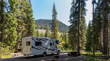 Una familia con tres hijos tiene que abandonar un bosque después de llevar meses viviendo allí: “Esto es todo lo que tengo”