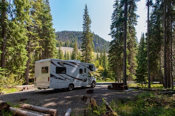 Una familia tiene que abandonar un bosque después de llevar meses viviendo en una caravana. Freepik