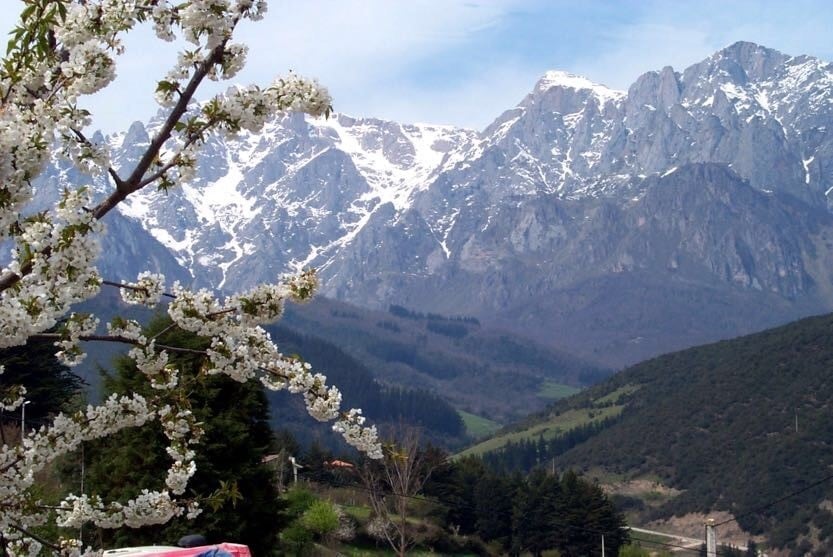Los Picos de Europa, primer parque nacional de España, ofrecen cumbres de 2.600 metros y rutas talladas en acantilados, legado natural (GOBIERNO DE CANTABRIA)