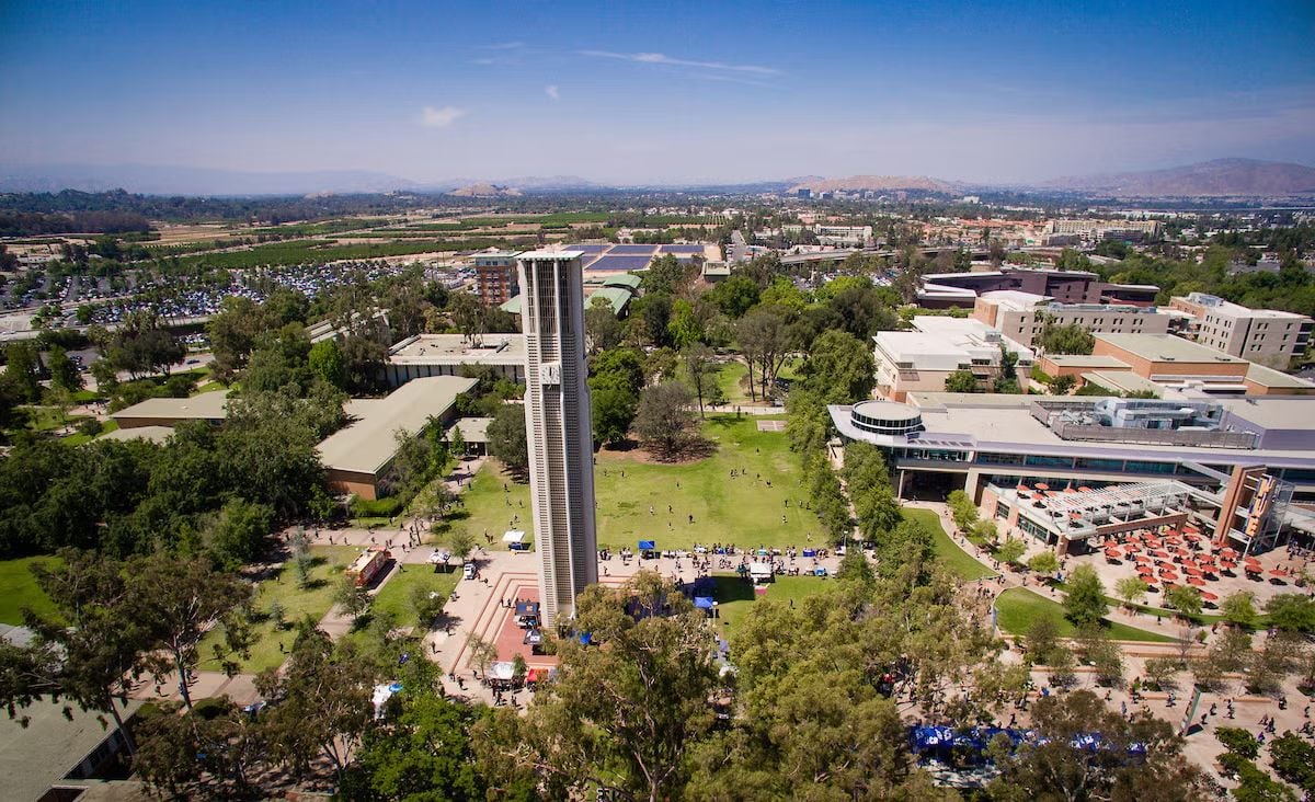 La Universidad de California en Riverside describió doce nuevas especies de chinches herbívoras originarias de Australia, cuatro de las cuales integran el género Swiftiephylus, nombrado en honor a Taylor Swift (UCR)