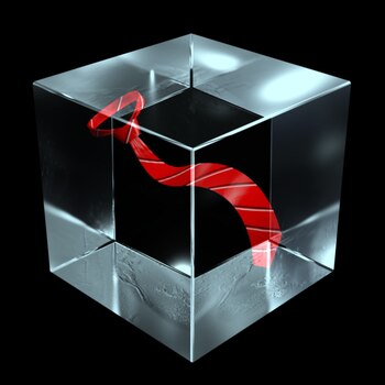 Son un total de 2000