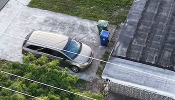 Una minivan dorada estacionada en camino de entrada de concreto. Hay dos botes de basura (verde y azul), pasto, arbustos, cables eléctricos y techo de edificio