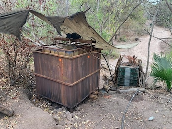 La Sedena ha intensificado sus