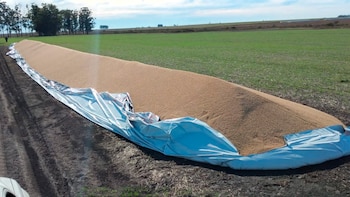 Inseguridad en el campo: proponen
