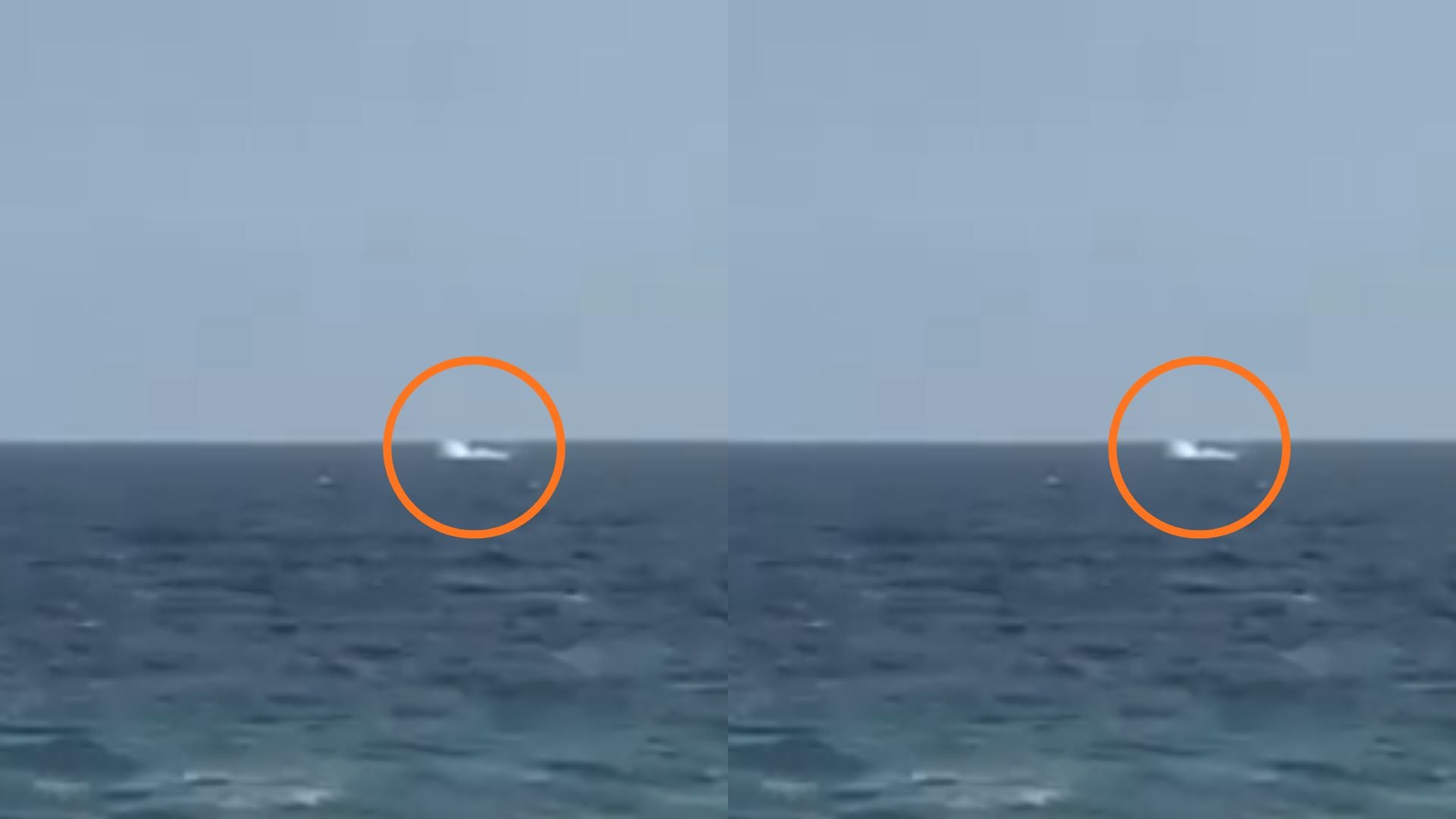 Ballenas en Chorrillos: Fenómeno de El Niño provoca avistamiento de cetáceos en litoral limeño