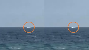 Ballenas en Chorrillos: Fenómeno de El Niño provoca avistamiento de cetáceos en litoral limeño