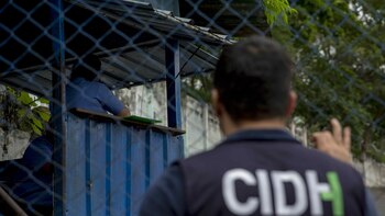 CIDH investigará el asesinato del