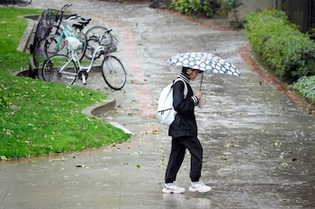 La psiquiatra Cora Luguercho detalló