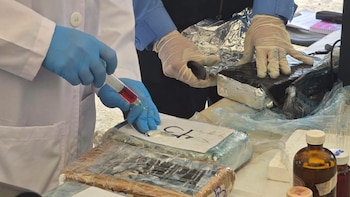 Especialistas confirmaron que la sustancia era clorhidrato de cocaína. (FOTO: Policía Nacional)