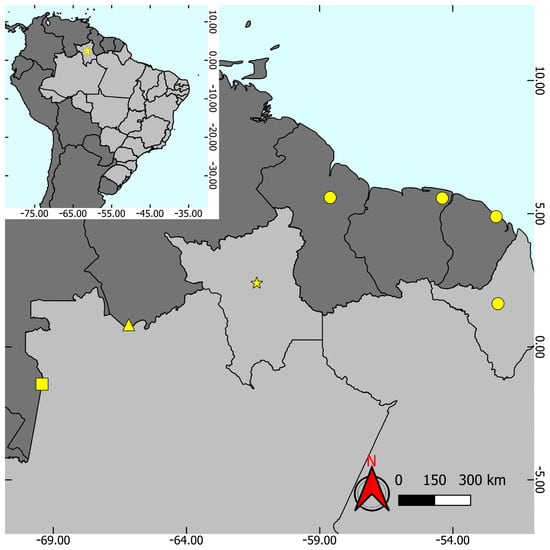 Investigadores de la Universidad Estatal Paulista identificaron dos nuevas especies de escorpiones en la selva de Mucajaí mediante luz ultravioleta (Gentileza, estudio: Dos nuevas especies de escorpiones (Scorpiones: Chactidae) del extremo norte de la Amazonia brasileña, publicado en Diversity)