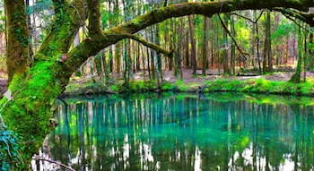 Imagen de la Laguna de