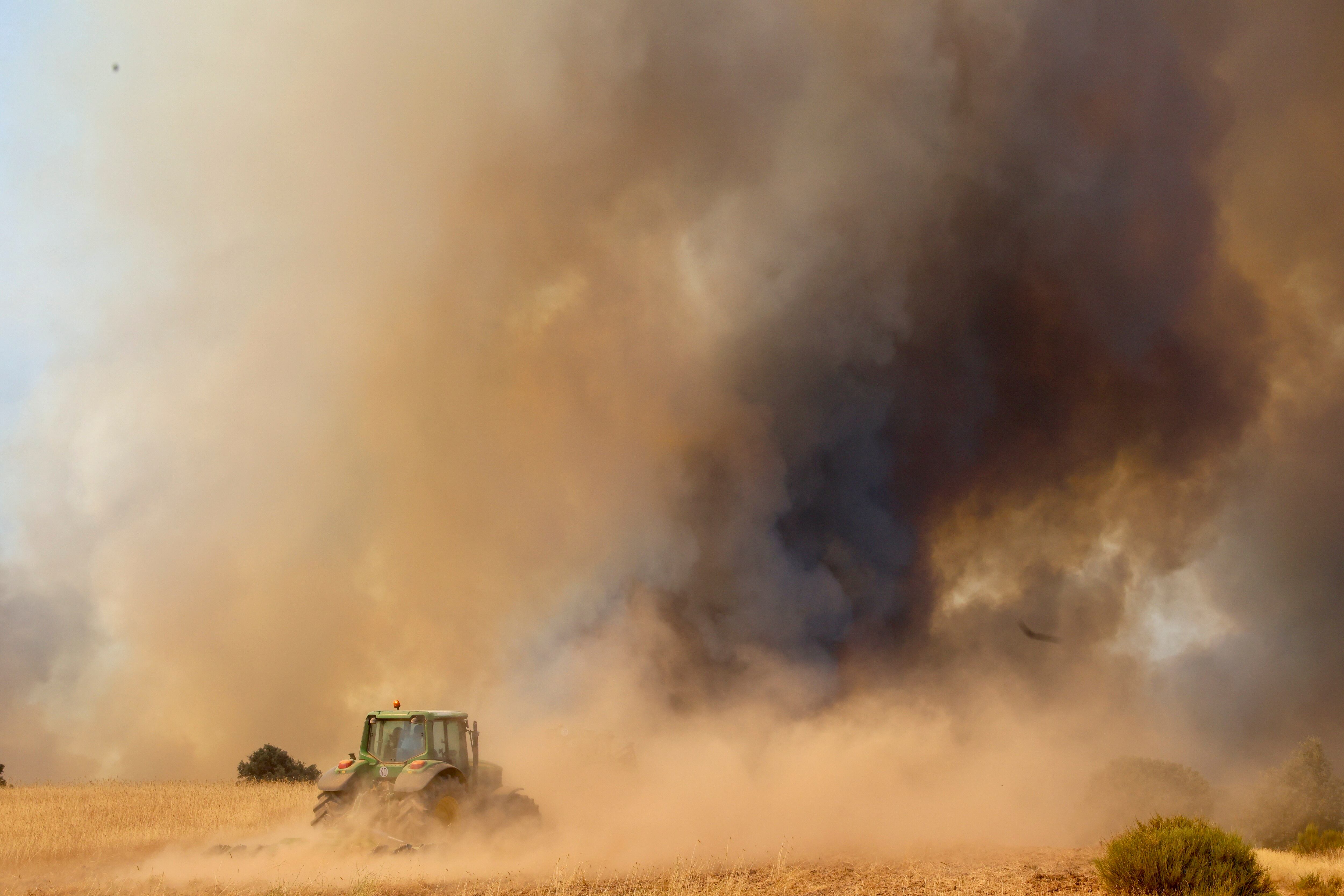 Vista del incendio forestal en Fermoselle (Zamora) este miércoles. (EFE/Mariam A. Montesinos