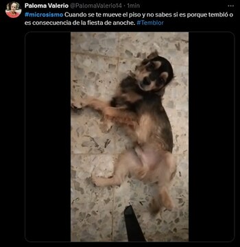 Los memes del microsismo no